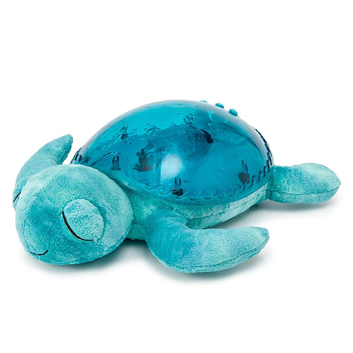 Tortue Cloud B   l Aqua