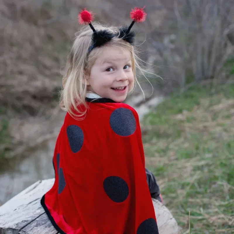 Cape de coccinelle et serre-tête (2-3 ans) - Great Pretenders