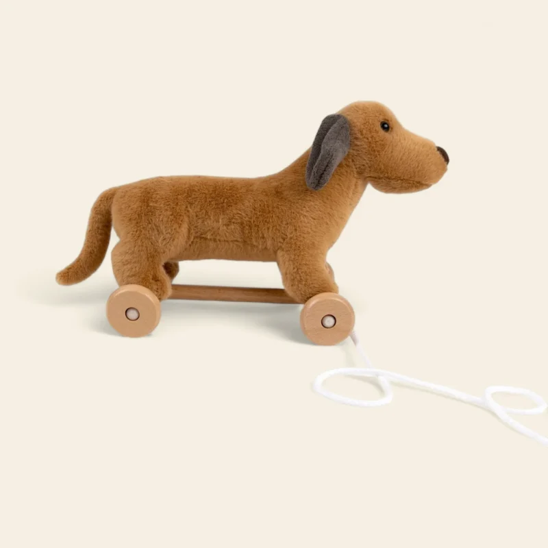Edward, le Chien à Tirer