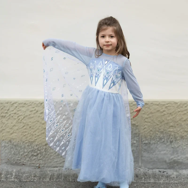 Deguisement l Reine des Neiges